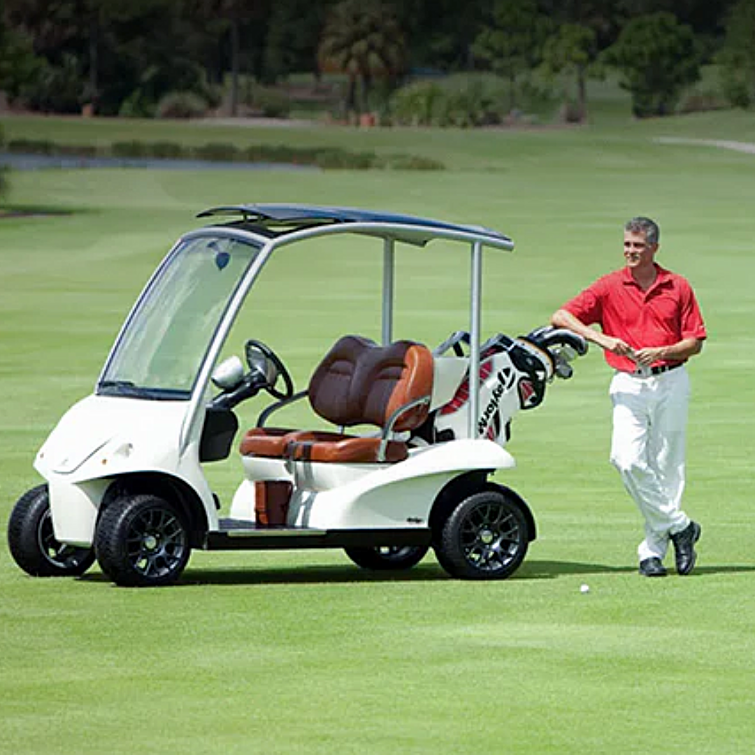 Golf cart batteries