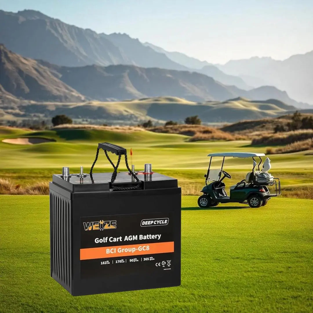 How-Can-You-Tell-If-Your-8-Volt-Golf-Cart-Battery-Is-Failing WEIZE