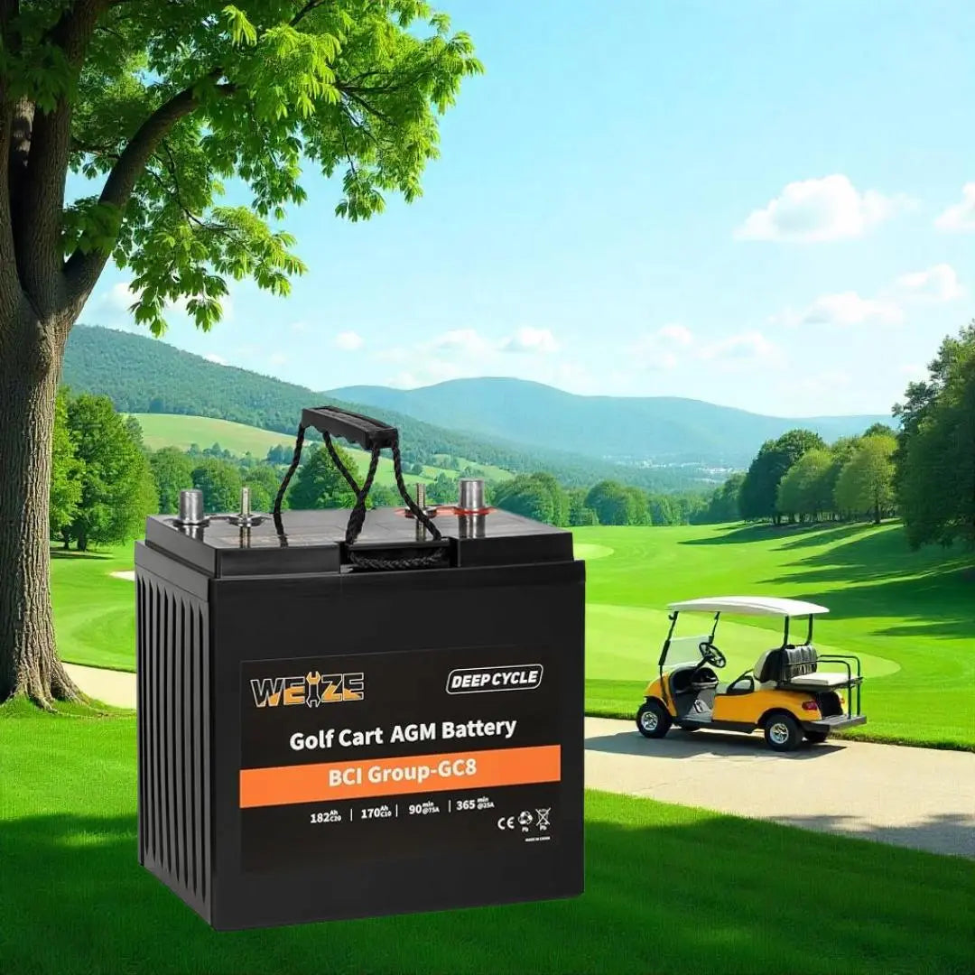 How-to-Clean-Golf-Cart-Batteries-A-Practical-Guide WEIZE