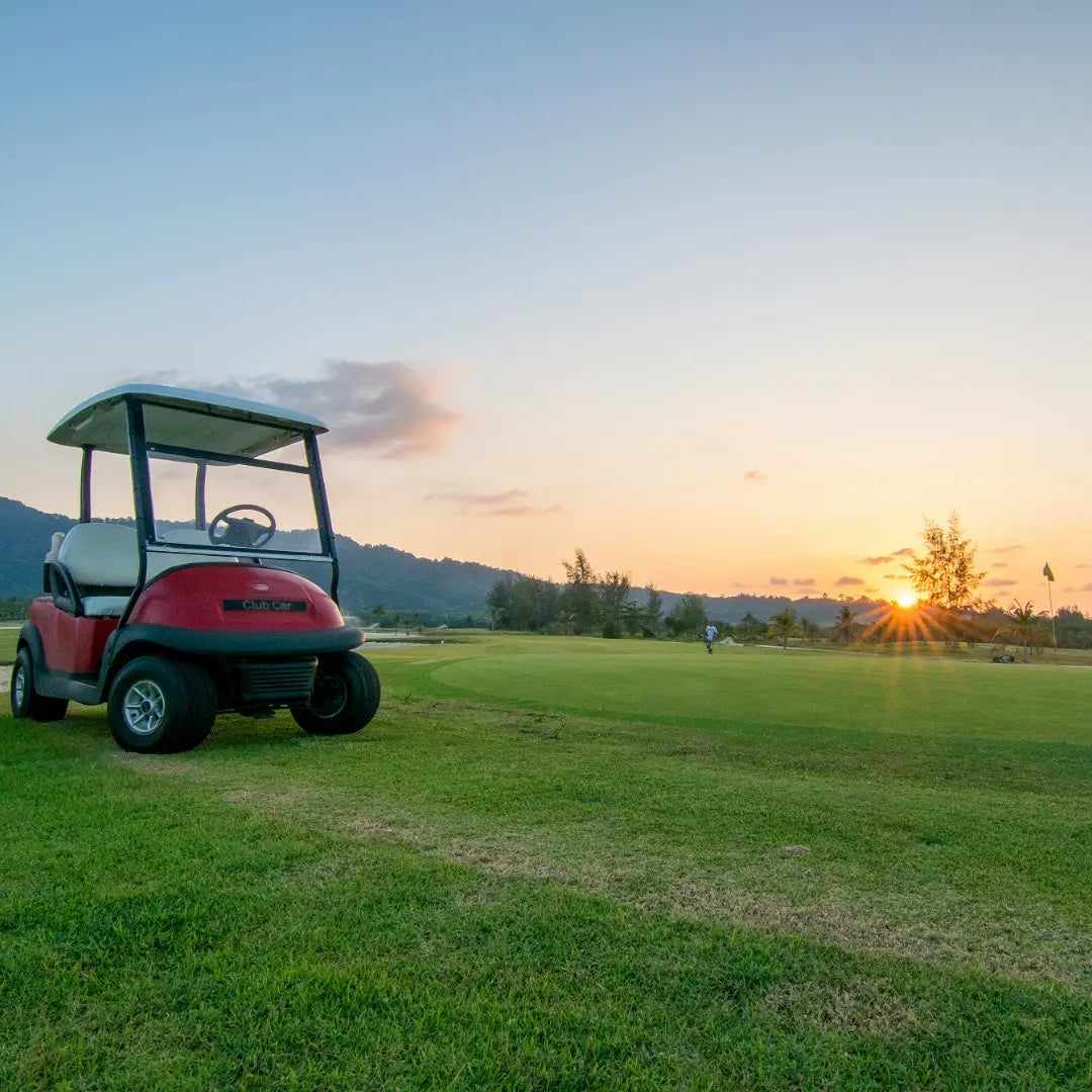 What-Should-My-Golf-Cart-Charger-Read-When-Fully-Charged WEIZE