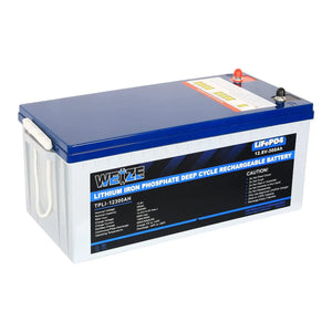 12V 300Ah 3840Wh LiFePO4 Lithium Battery Up to 8000 Deep Cycles & Smart BMS WEIZE