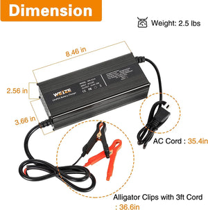 14.6V 20A LiFePO4 Battery Charger, Intelligent AC-DC LiFePO4 Lithium Battery Smart Charger for 12V Lithium Iron Phosphate Batteries, Support Fast Charging WEIZE