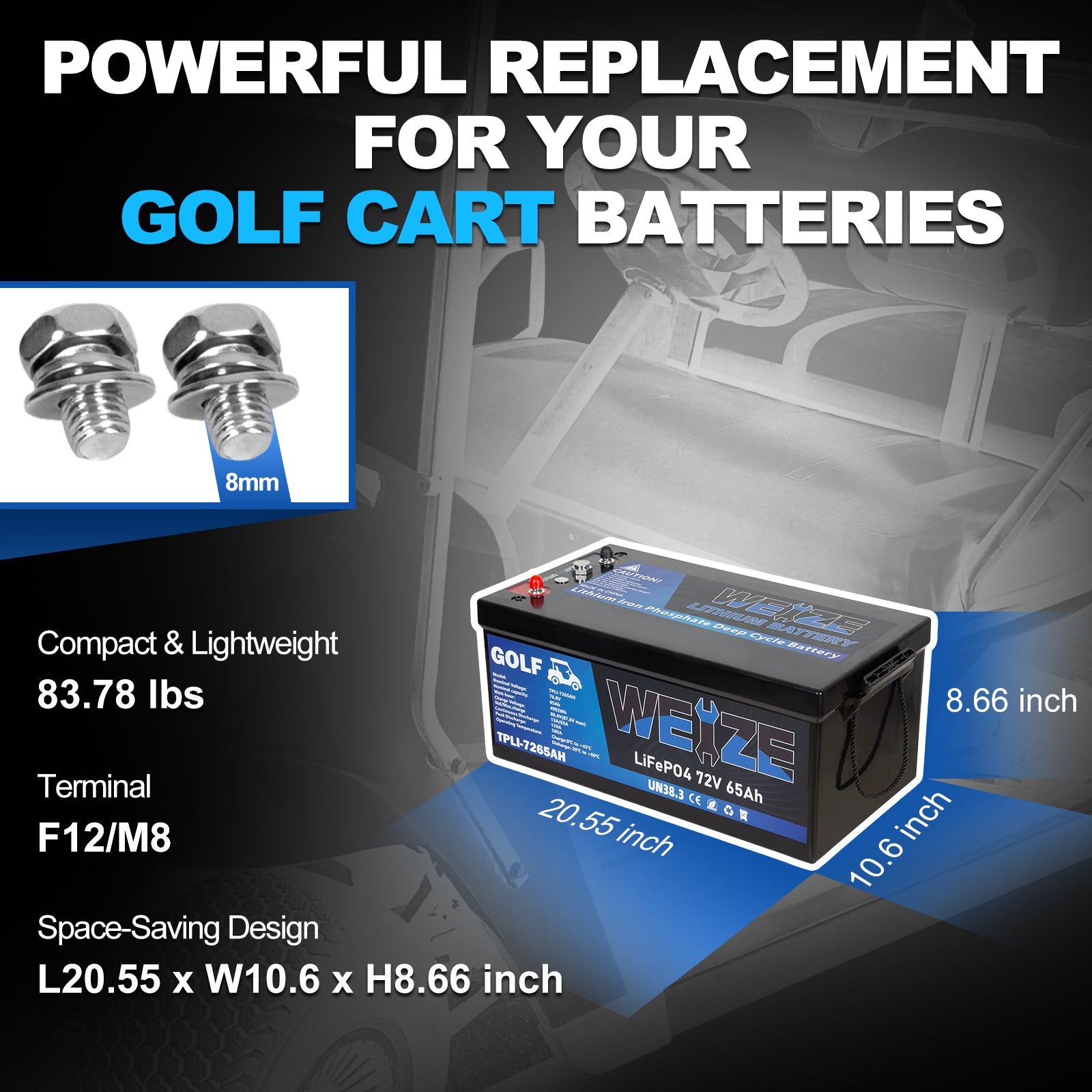 Golf Cart Battery