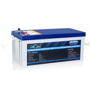 WEIZE LiFePO4 Lithium Camper Vans Batteries - WEIZE