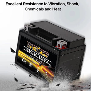 WEIZE YTX4L-BS 12V 3Ah High Performance-Rechargeable-Sealed Motorcycle Battery Compatible With Polaris Scrambler, Sportsman 90, Honda Scooters NQ50 Spree,Kawasaki 110 Can-Am DS70,Yamaha TTR125E/LE WEIZE