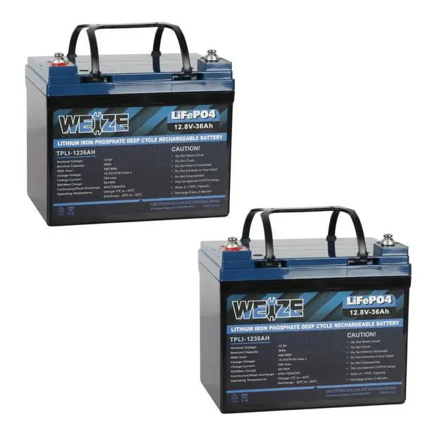 WEIZE 12V LiFePO4 Lithium Deep Cycle Battery, Built-in Smart BMS, 3%/Month Self-discharge Rate, 10 Years Warranty WEIZE