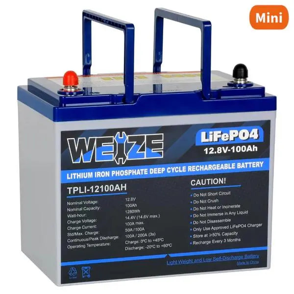 WEIZE 12V LiFePO4 Lithium Deep Cycle Battery, Built-in Smart BMS, 3%/Month Self-discharge Rate, 10 Years Warranty WEIZE